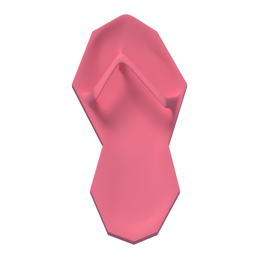 The shoe from above, showing where your foot sits